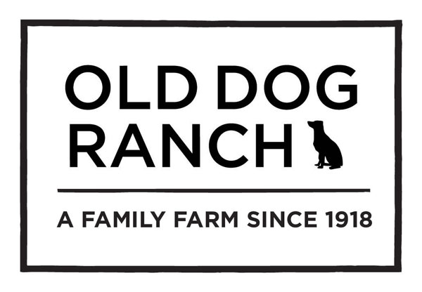 Old Dog Ranch