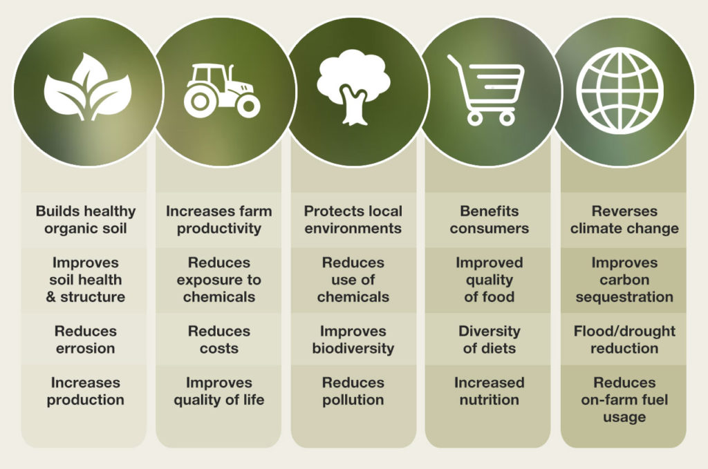 how-investment-capital-can-enable-profitable-regenerative-agriculture